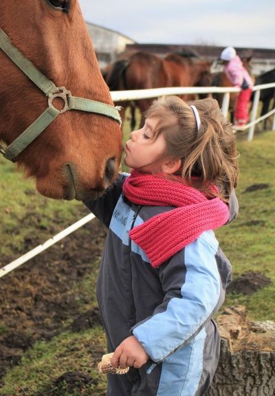 Horse-Human Bond: Photo by Lucie Hosova on Unsplash