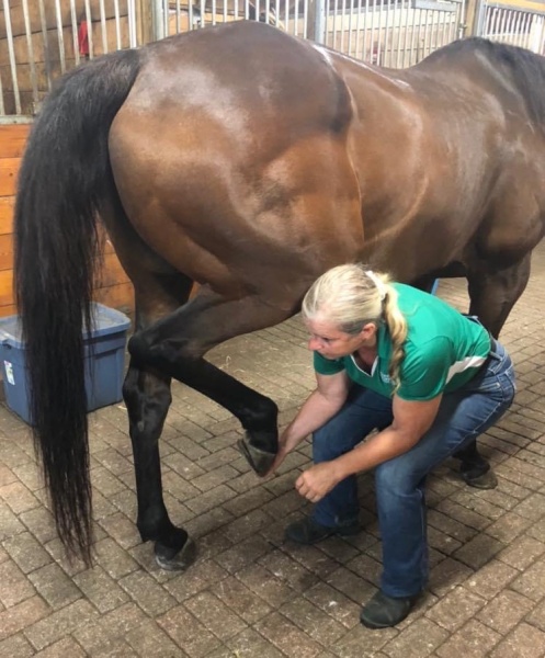Masterson Method - manipulating Larry's right hind